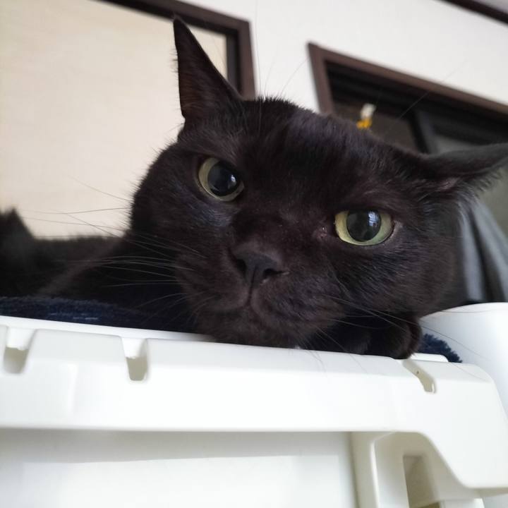 544dee0d e1f6 4d61 9743 30991ca00906 1668722105214