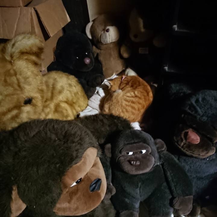 544e42aa d31c 4aac 9abe 81f0e5340d0f 1605177261122