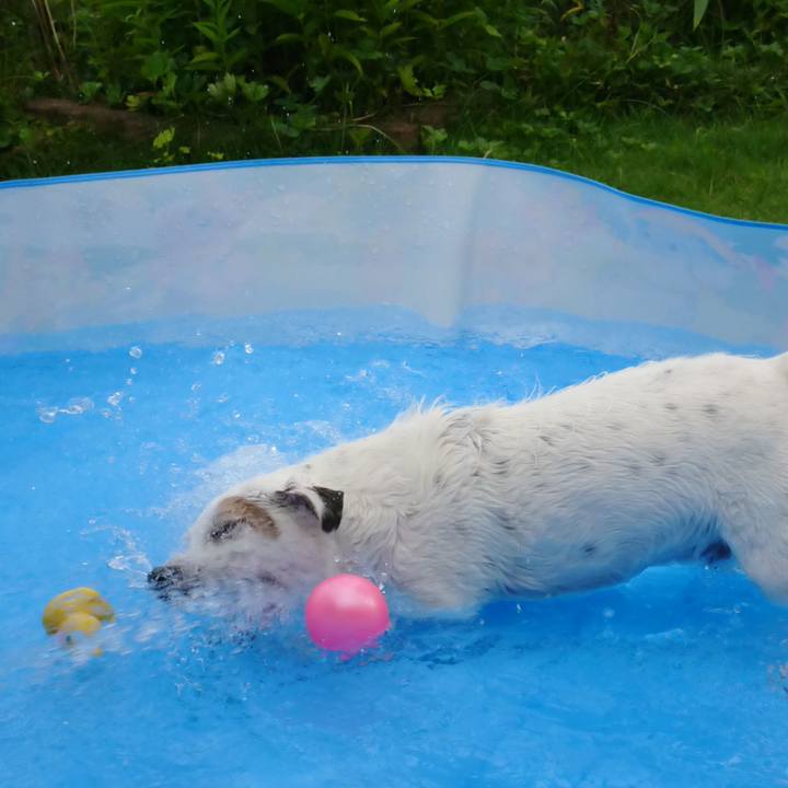 544e6597 fd76 4e11 966a 53eaafa4972f 1530316022552