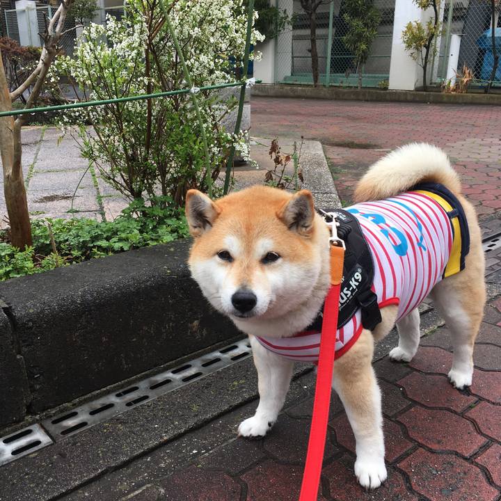 544ed81e 5f4d 420b 8e5b 3b411335d84b 1583807566324