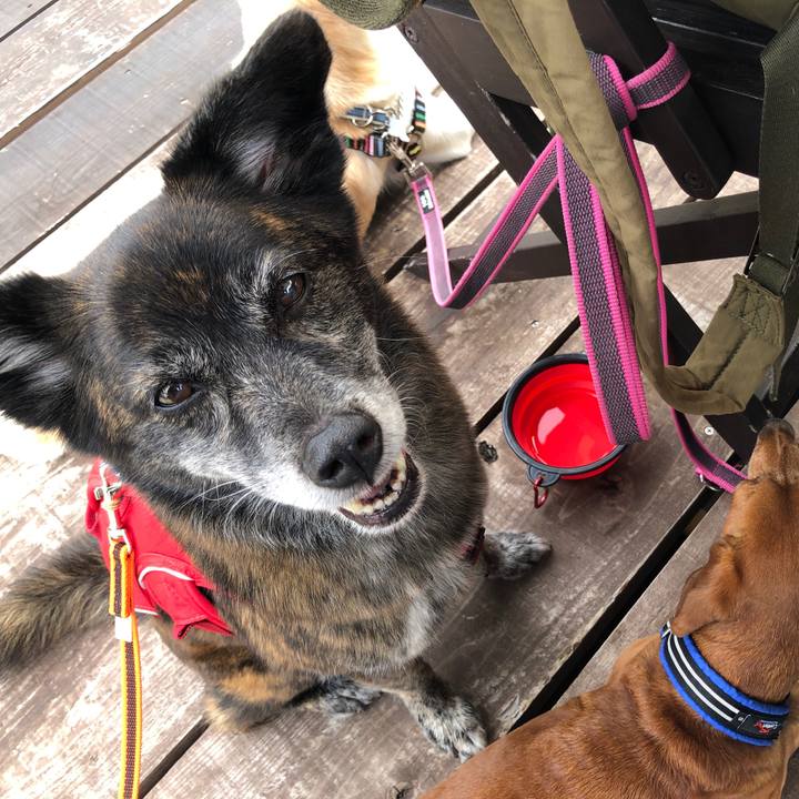 544f4cf0 053d 4674 8d47 5c7ba6a253ea 1629167505346