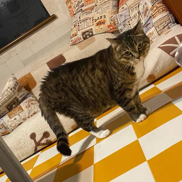 544f5870 52ba 4152 9d9c 065d85795185 1687379155160