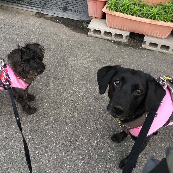 544f68b9 92b0 4e02 a37c 462e052a2e75 1523568154616