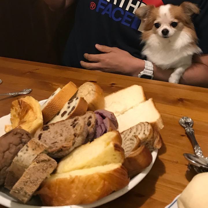 544fa0fa e1c6 443f aa65 af0edd432d38 1538997982279