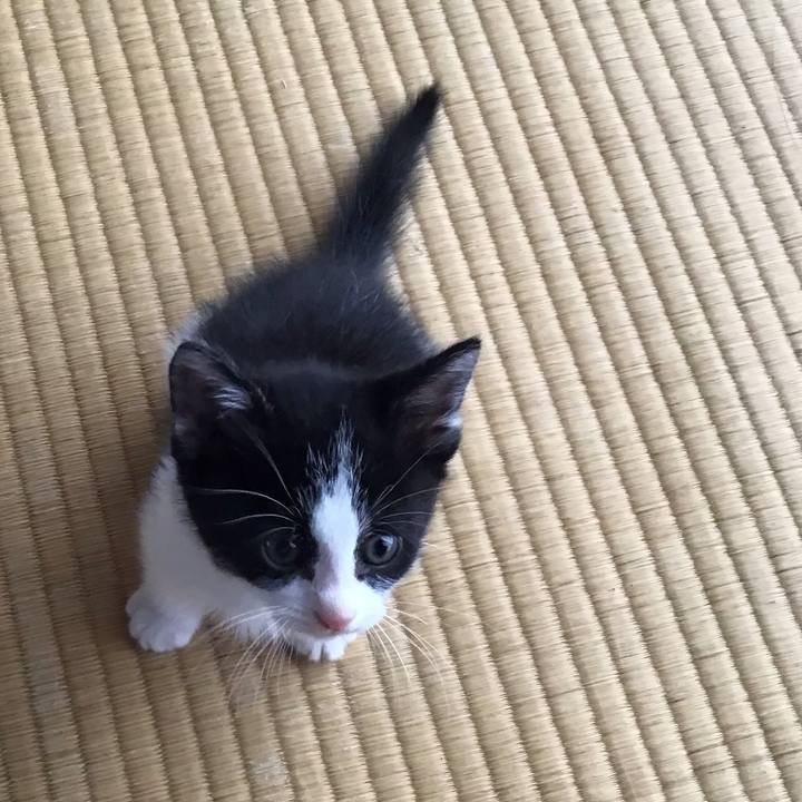 544fa6d5 be5f 4593 af97 5f6c009bacf0 1623136085487