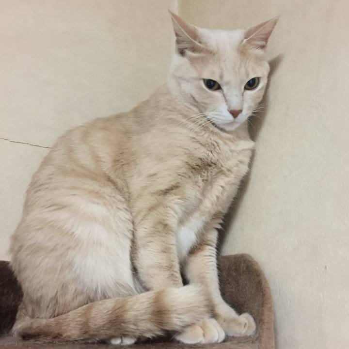 54500e9e 14ec 4854 8570 b444b7a6e19e 1512730087198