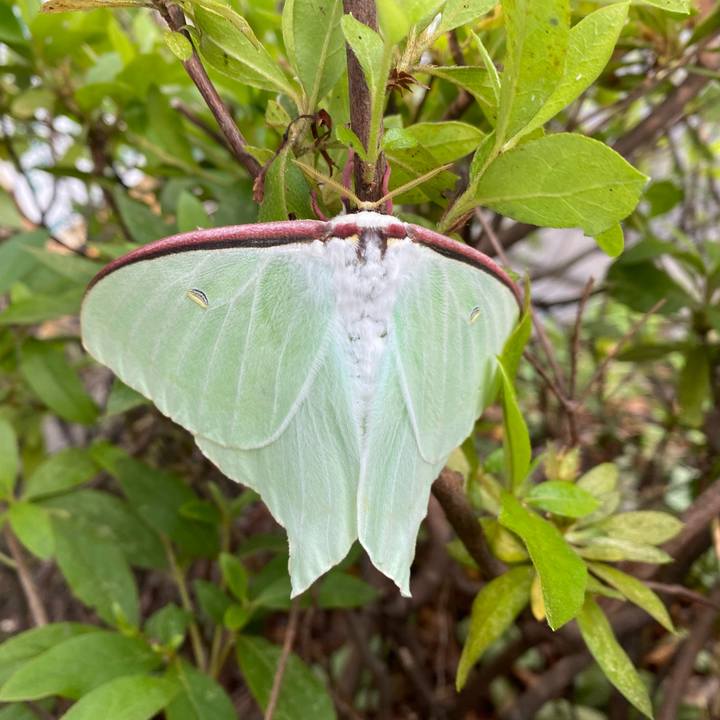 54504f45 79d9 4fb2 90f0 dd80f513a708 1653890711551