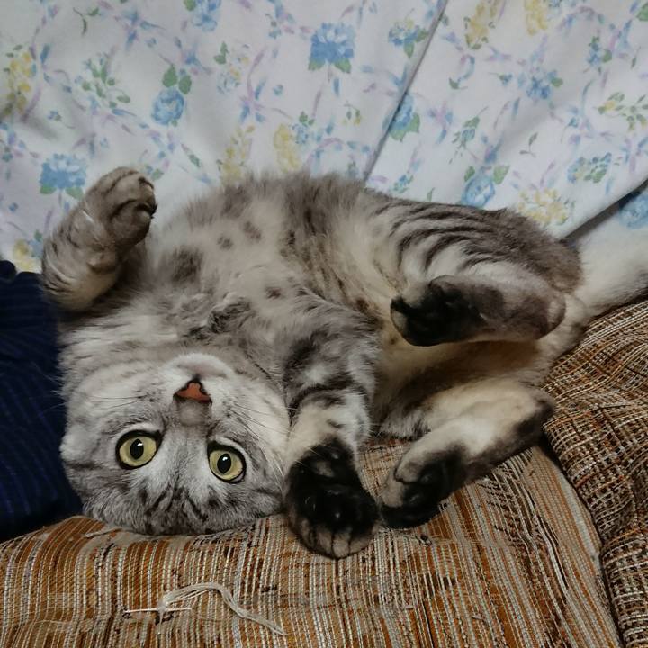 54505e14 afab 499d 921a df30574185da 1531315402994