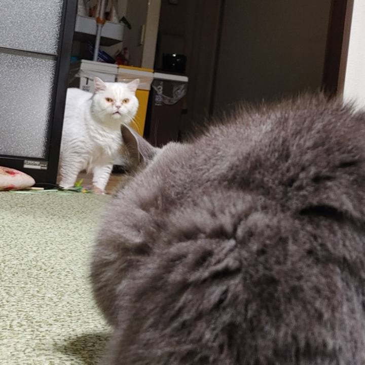 5450842d 76c7 4979 b46d b0f2684f279d 1695552981172