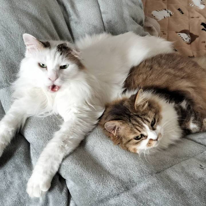 5450c38b 3a66 4d0d 8bf5 19e494622de9 1771411425632