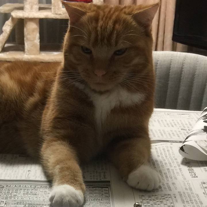 5450c3bf 8628 49f3 b6fa 7d3a57f6476e 1513405267684