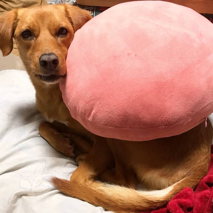 5450c8ef 77f4 4904 ab60 1053c56c4da7 1547470621142