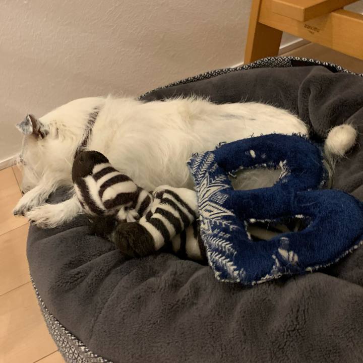 5450ccb7 c328 4167 bbec 6a19e442f801 1665917486335