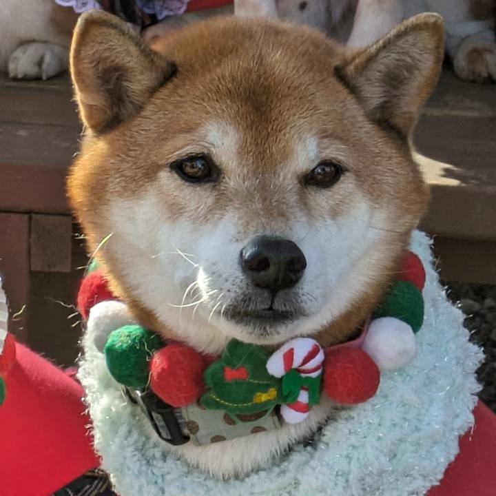 5450d93f 5f10 4760 bd97 8e99d0cec77a 1703500441566