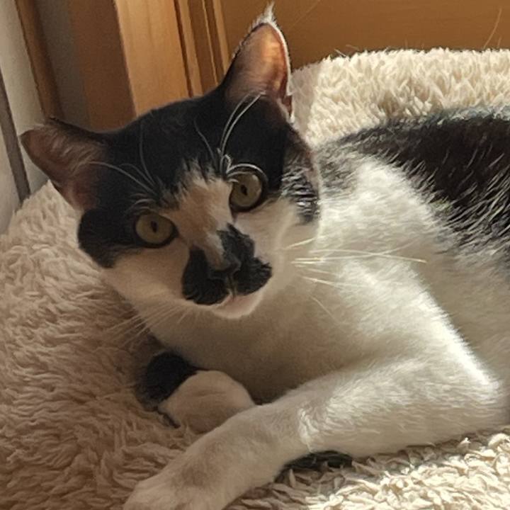 5450e0d6 184b 4a6d a932 5f0dd9c3e8ad 1767487912902