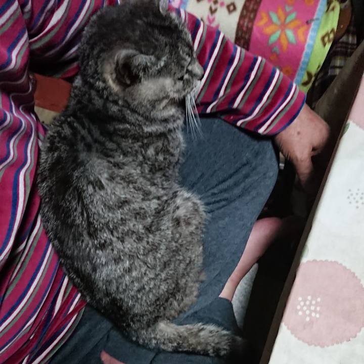 5450f51b 4d34 4f8a a8c1 f509c8b08690 1578649526238