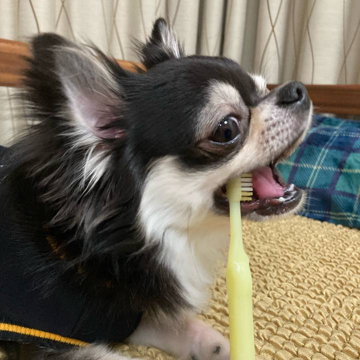 54516884 9674 4ec2 954f 31094cbd932e 1651325085753