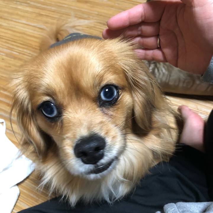 54517e5d 2e6a 41a0 8a23 73ee11c067be 1551443392139