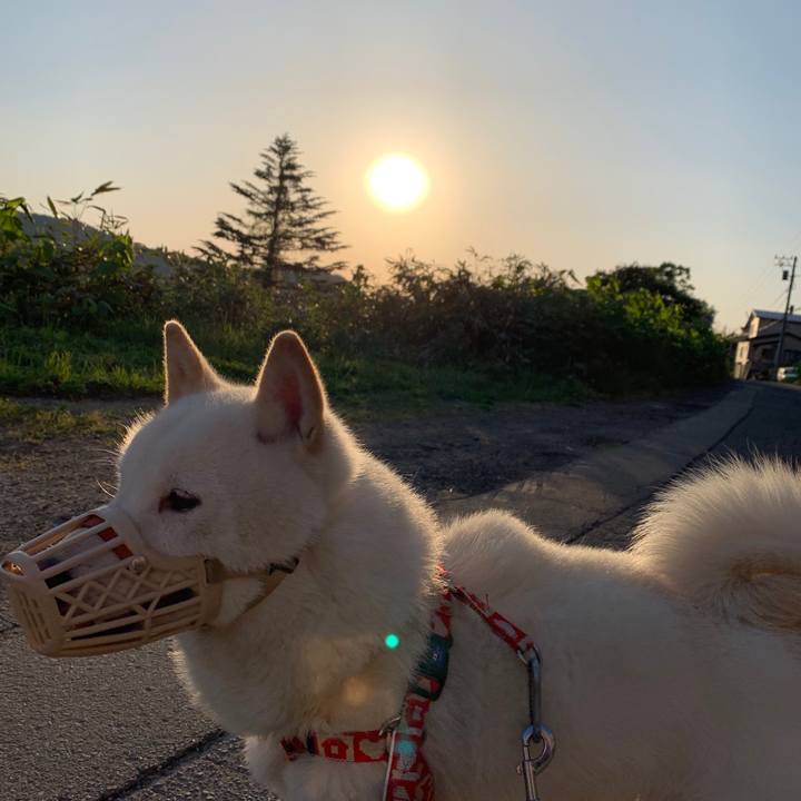 5451c2ea b24a 4a6d 8186 0115dc91b35f 1558902370607