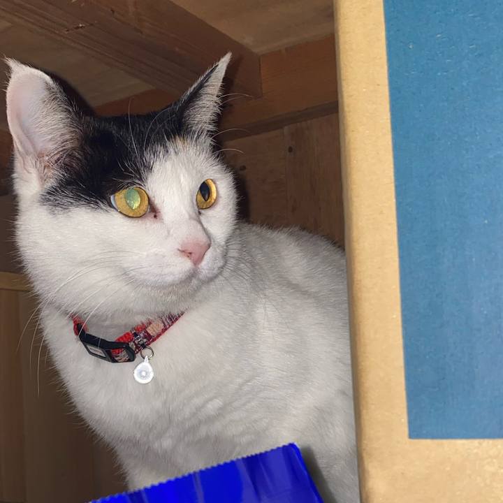 5451cf8c 44f2 464d 9357 e4161627837b 1651065864460