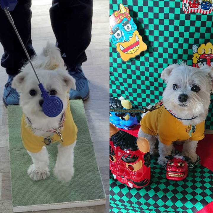 5451e4b2 2a54 4b7e a598 bd3378b06c52 1642924867232