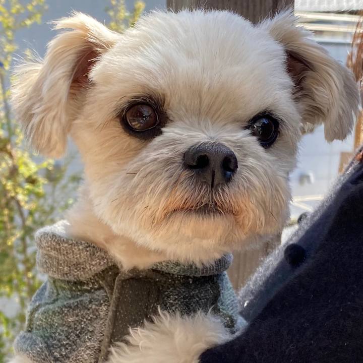 5451e93d efb0 44bc a405 a54844dc891d 1584696887168