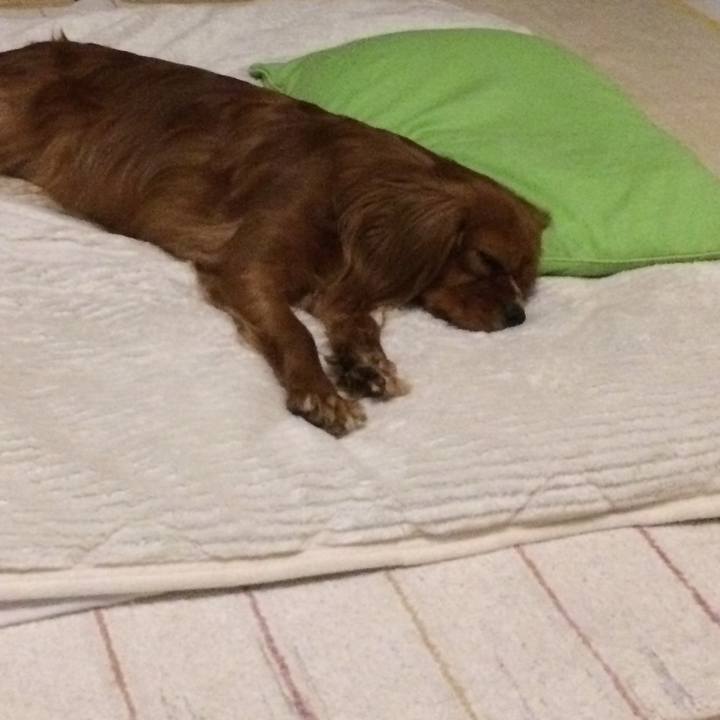 545252e4 c584 41bb bebc 54070ef24e6b 1524198780907