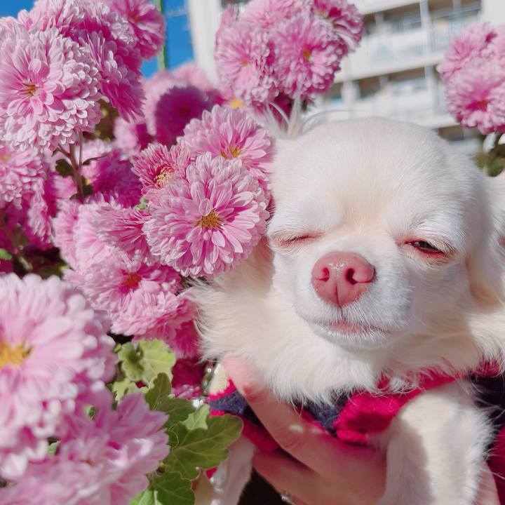 545256ba 7ec3 48b8 ac12 2826cec571c0 1703304778687