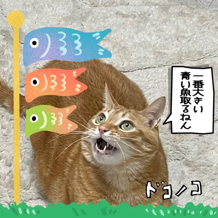 545263c5 dc21 43c1 a9b1 28b3e45bcfd4 1714977711630