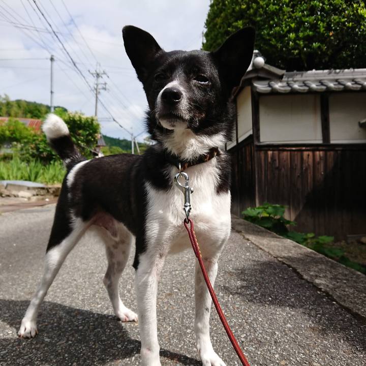 545263ed d93f 42ca 9629 3cbd5d613275 1529281655783