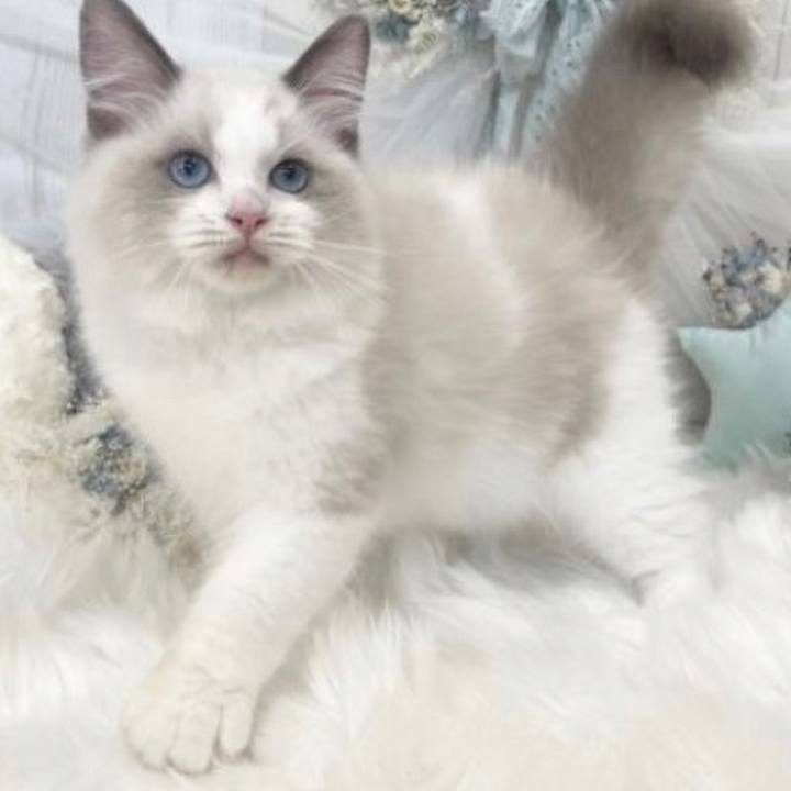 5452dab3 d102 4f3e a2de 5b0134d388d7 1633604550784