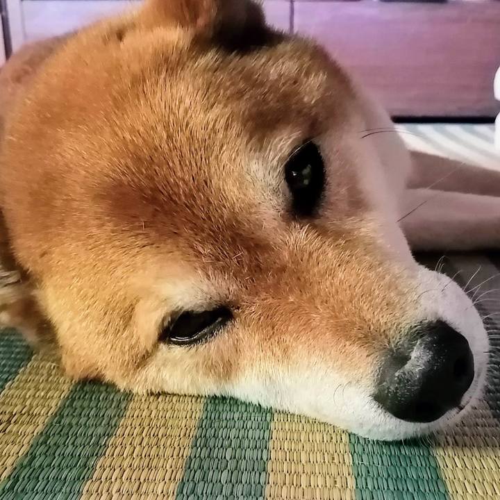 5452e551 dde8 48ad 8b24 7ed0d68cc3d8 1589436908463