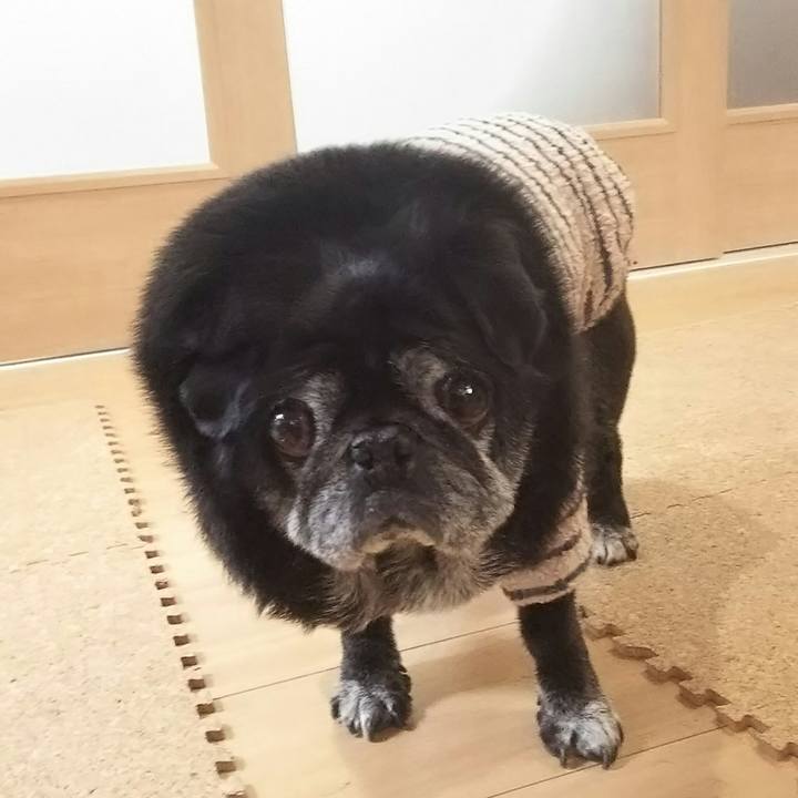 54531d43 5816 46c2 8a49 4000cf7b56ab 1542515359919