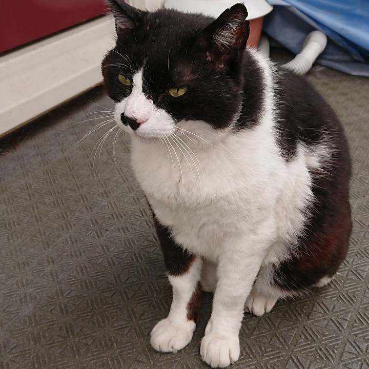 54531fc4 40cd 4d5e aac1 71e59821a132 1562730666363