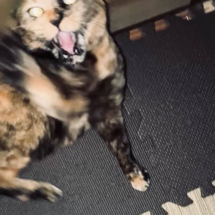 54535c93 d1d3 4d5f 98db 68385b9eb0f5 1736802133622