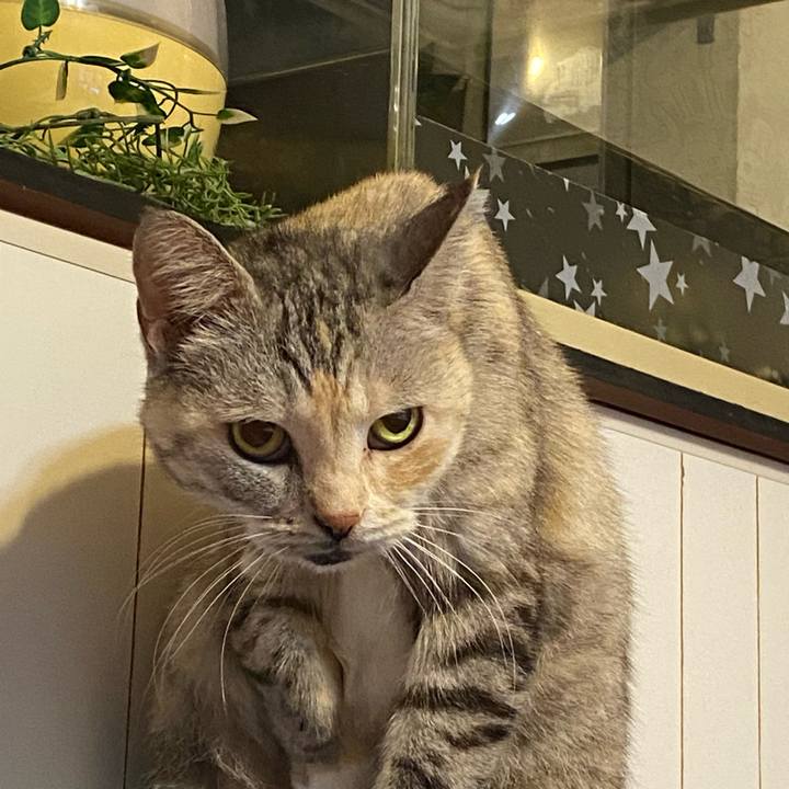 545366ab a6d1 4517 a89e bfba1c1940eb 1637338454697