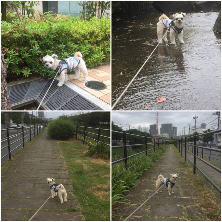 54536752 9174 44bc a42e a41ca8362c2c 1560067531217