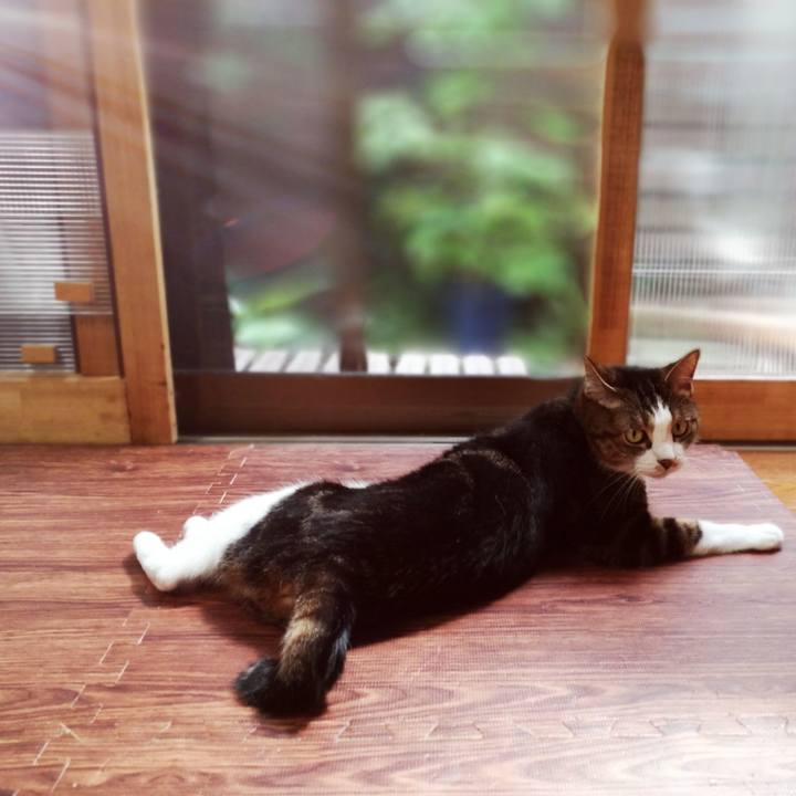 545369c4 fa4b 4a9c 9df0 3385a366e9a5 1567041705107