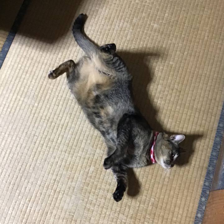 545377b9 3a05 4a11 885a a4a3536b8d58 1604735748047