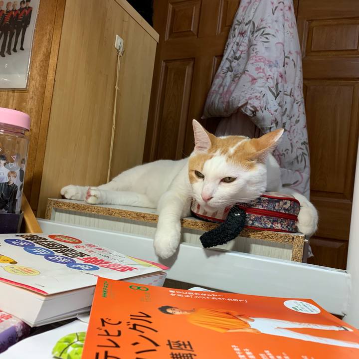 54537d24 09e3 4261 8e3d 4757f6d61ac5 1563979582397