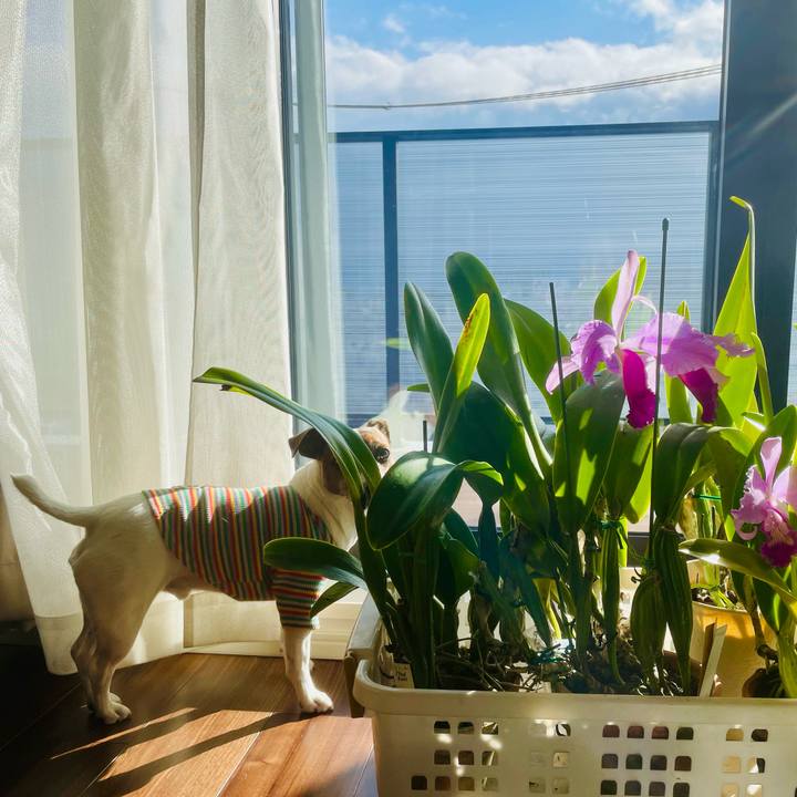 54537d32 452e 4c38 aa05 f9887956ea06 1738282967900