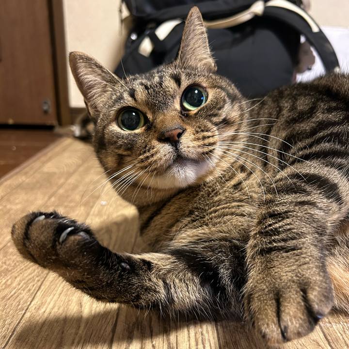 5453c436 58f9 4520 90f2 939eb332d2c7 1674304457114