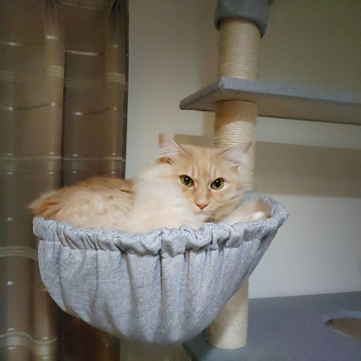 5453d107 a24d 426d 8867 5ef65ceef792 1705530718392