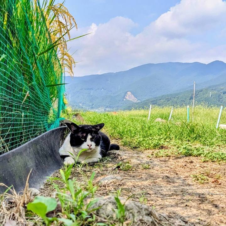 54540c07 c7c4 4482 809d af7e3c59d26b 1758084293097