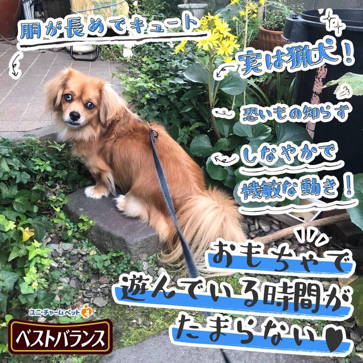 54546778 d66d 4816 a5b7 3261b66ccb5f 1541814580112