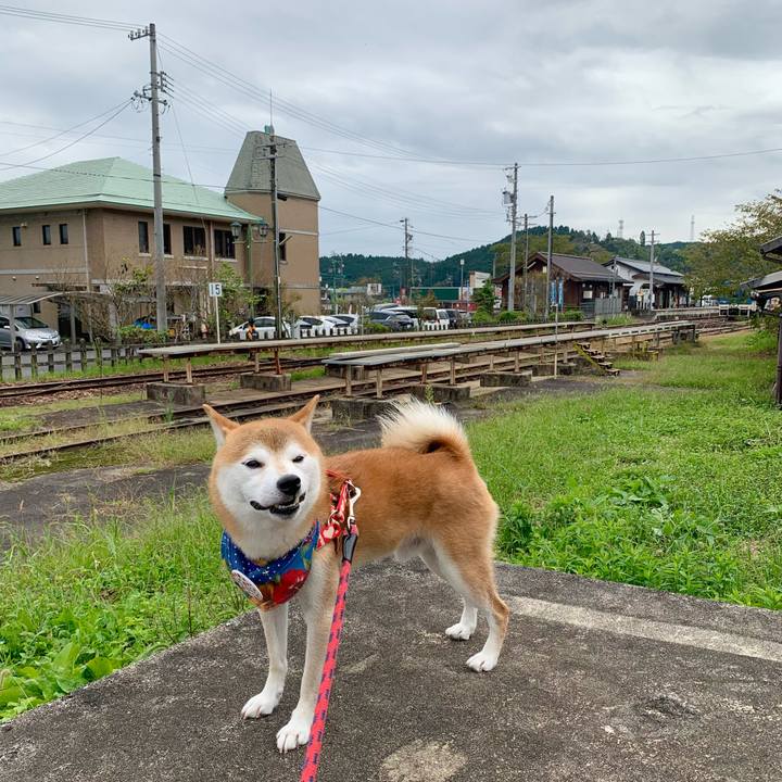 54546f29 0e96 4c4f b04f 89336e53993f 1632303634294