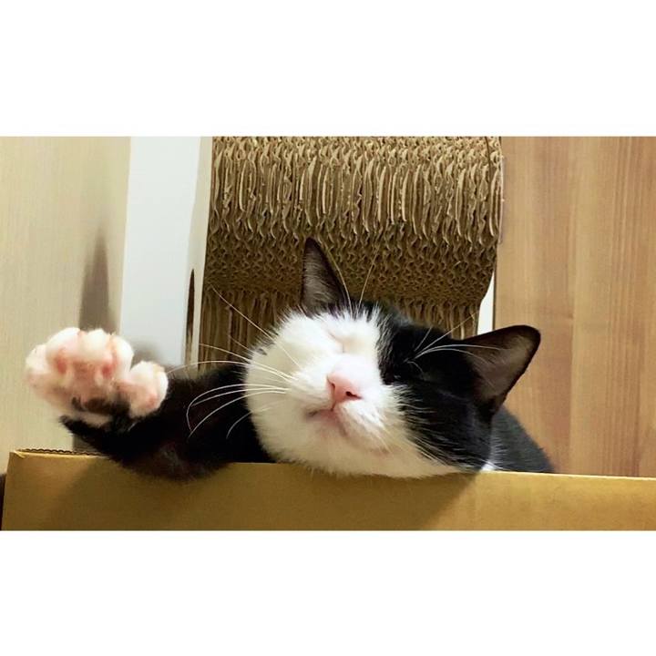 545472f1 1f89 4de5 8abb c66c3f052c0a 1557322033054