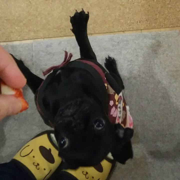 5454c00d b7d4 4fb2 85bc 357330441e90 1515244019313