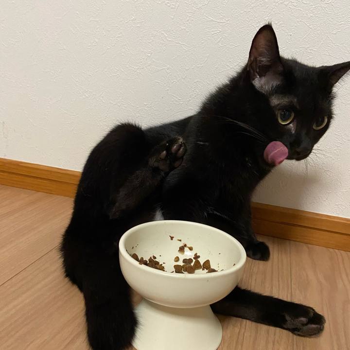 5454c4a8 93ae 420b ade3 f3627b456d06 1662899075936