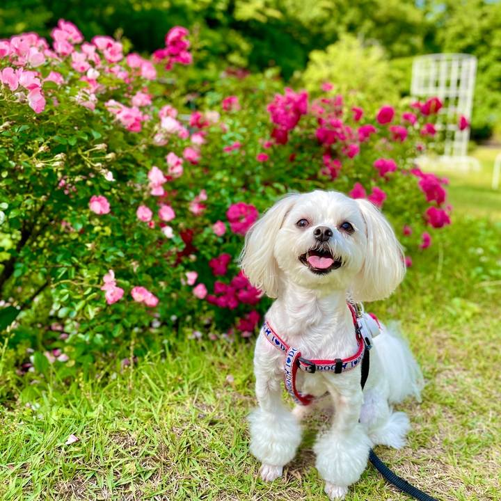 5454ed97 1833 4a9c bdc9 76a4afcc2c08 1622697936478